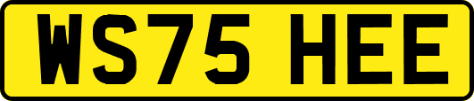 WS75HEE
