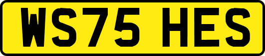 WS75HES