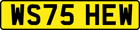 WS75HEW