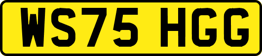 WS75HGG