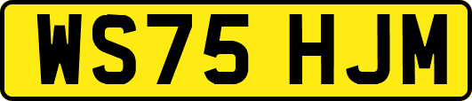 WS75HJM