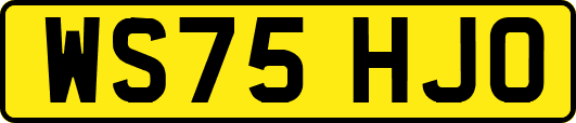 WS75HJO