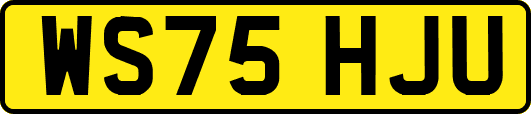 WS75HJU