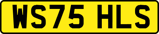 WS75HLS