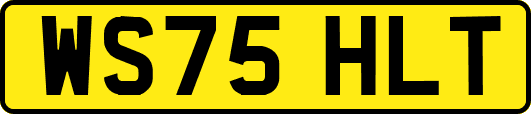 WS75HLT