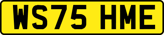 WS75HME