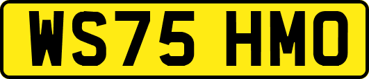 WS75HMO