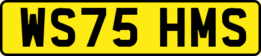 WS75HMS