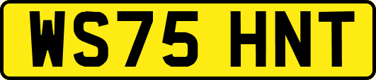 WS75HNT