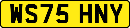 WS75HNY
