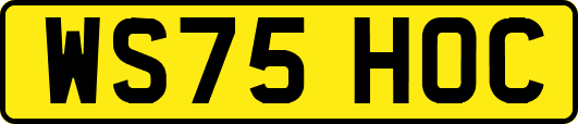 WS75HOC