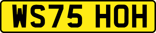 WS75HOH