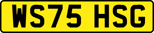 WS75HSG