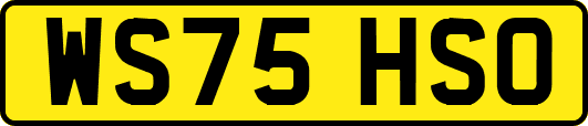 WS75HSO