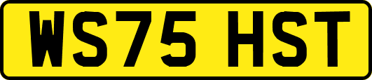 WS75HST