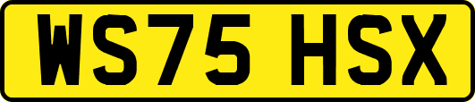 WS75HSX