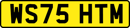 WS75HTM