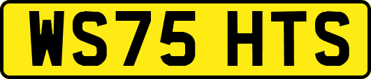WS75HTS