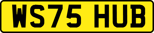 WS75HUB