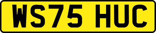 WS75HUC