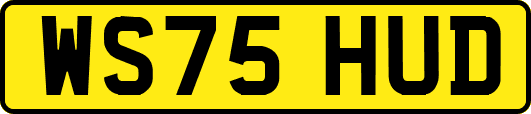 WS75HUD