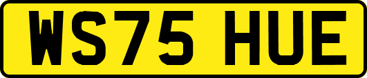 WS75HUE