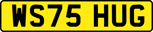 WS75HUG