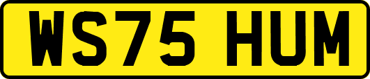 WS75HUM
