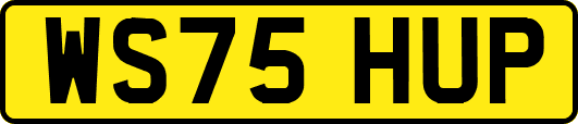 WS75HUP