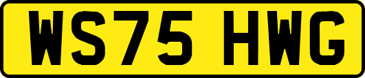 WS75HWG