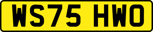WS75HWO