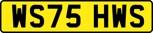 WS75HWS