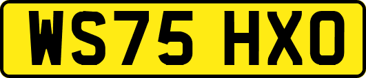 WS75HXO