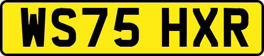 WS75HXR