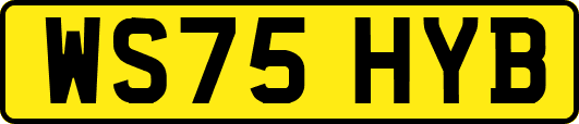 WS75HYB