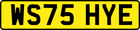 WS75HYE