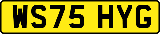 WS75HYG