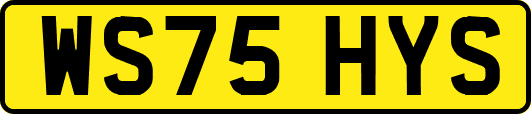 WS75HYS