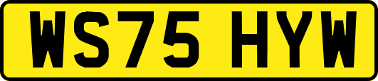 WS75HYW