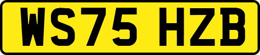 WS75HZB