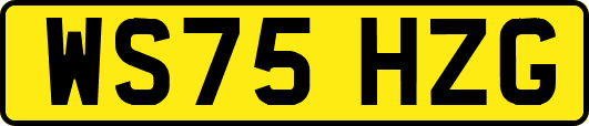 WS75HZG