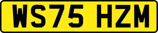 WS75HZM