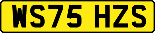 WS75HZS