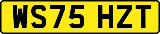 WS75HZT