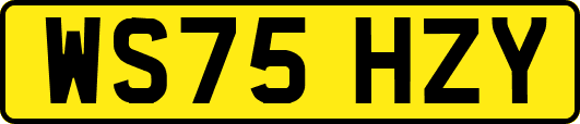 WS75HZY