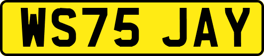 WS75JAY