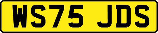 WS75JDS
