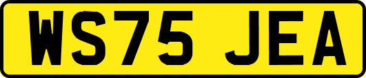 WS75JEA
