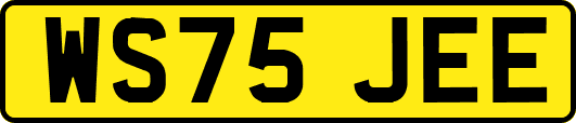WS75JEE