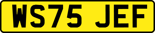 WS75JEF